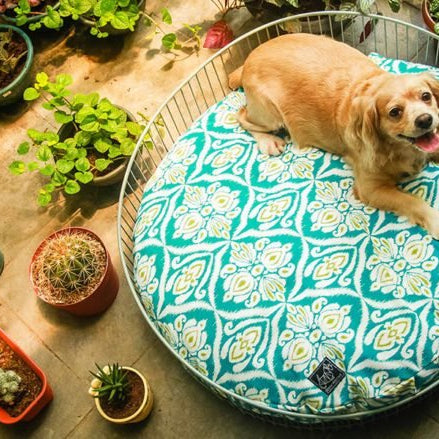 Modern Barkitecture | Bow House