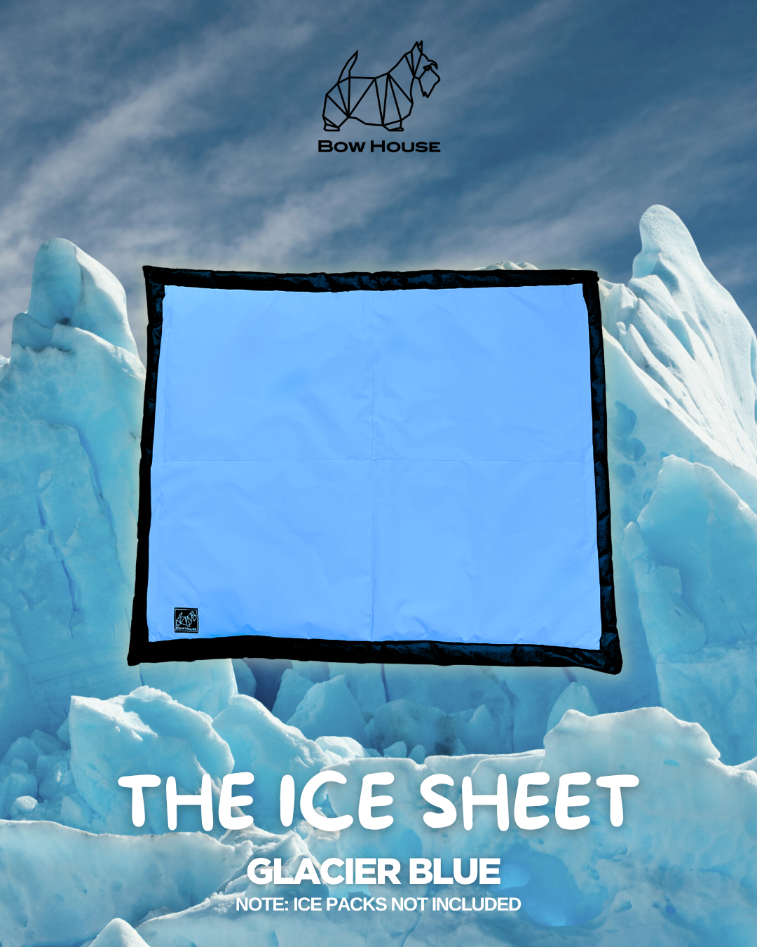 THE ICE SHEET