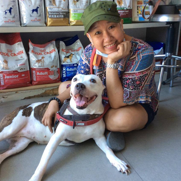 This Puppy Love is Real | Bow House