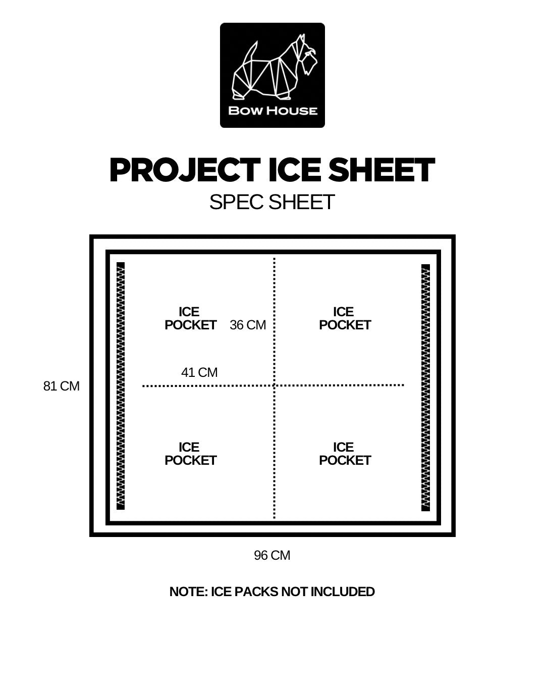 THE ICE SHEET