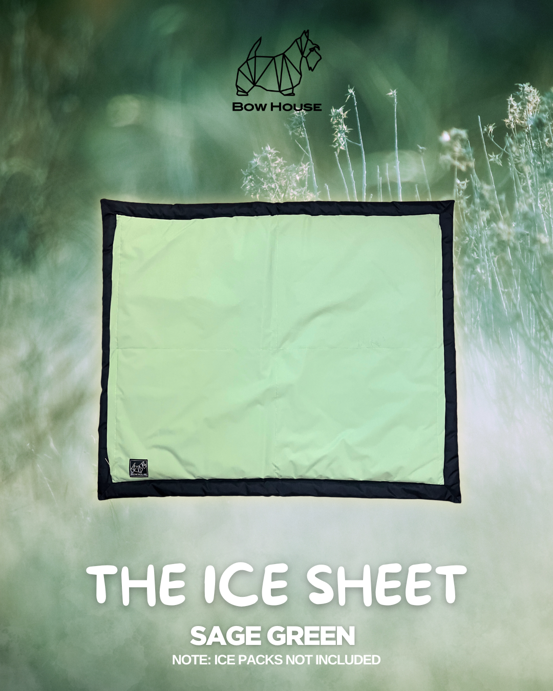 THE ICE SHEET
