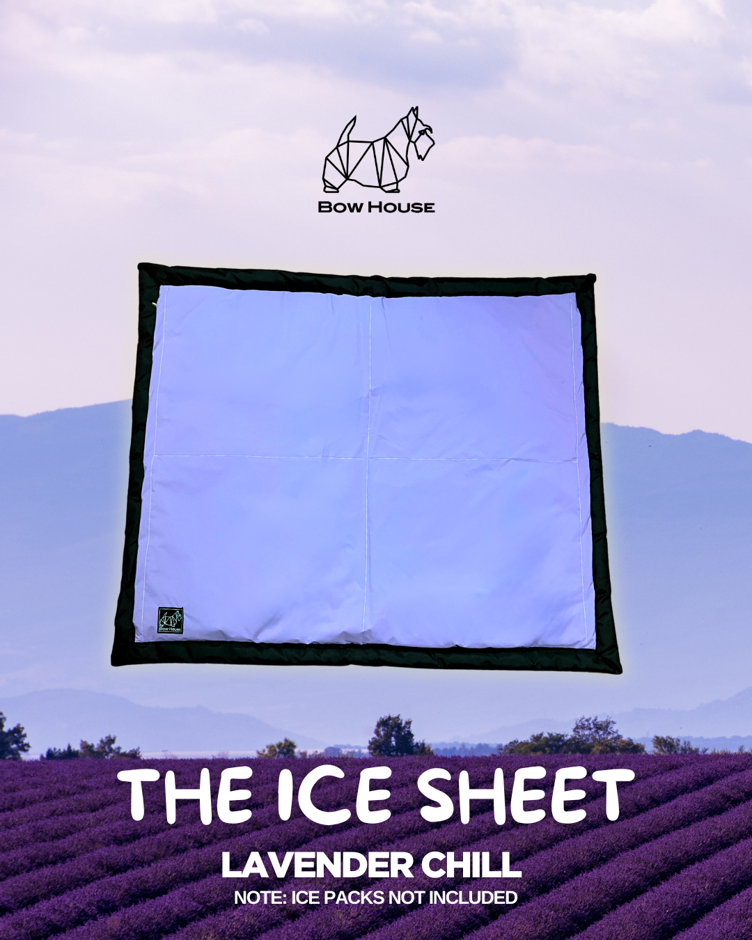 THE ICE SHEET