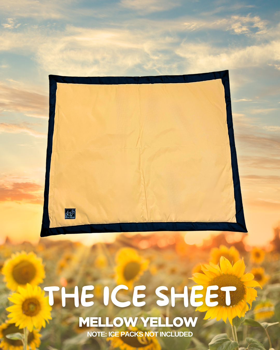 THE ICE SHEET