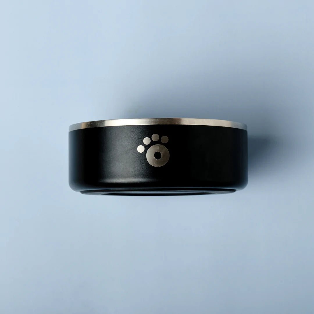 The Ollie Bowl