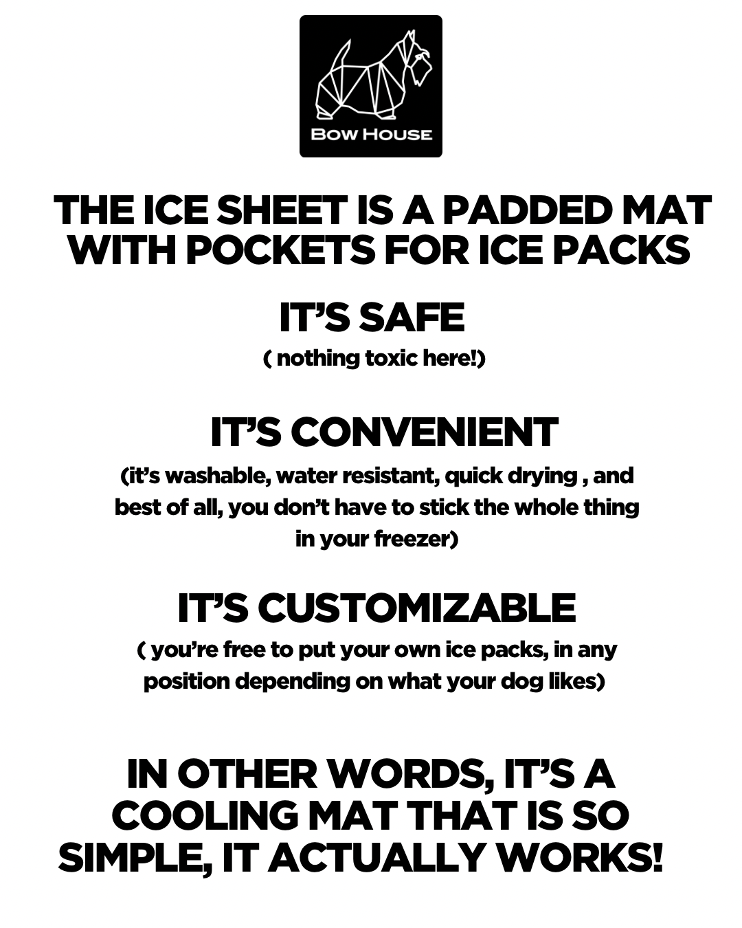 THE ICE SHEET