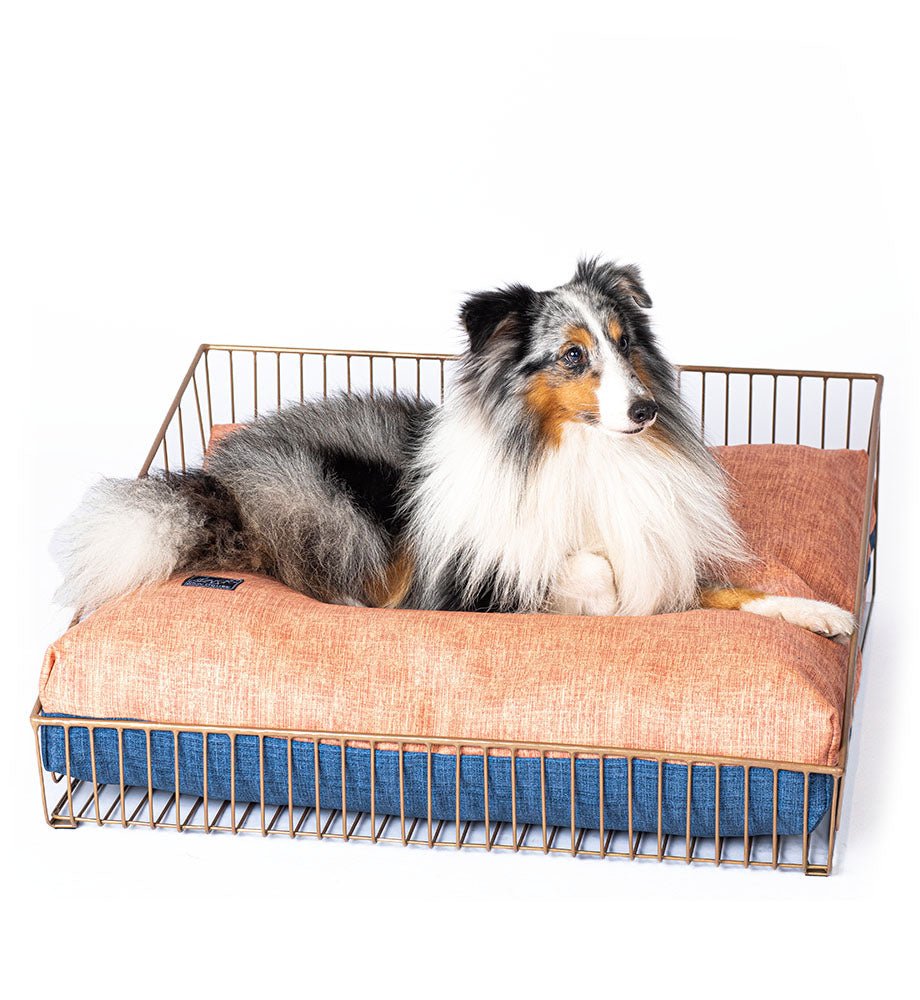 Muttress Nest