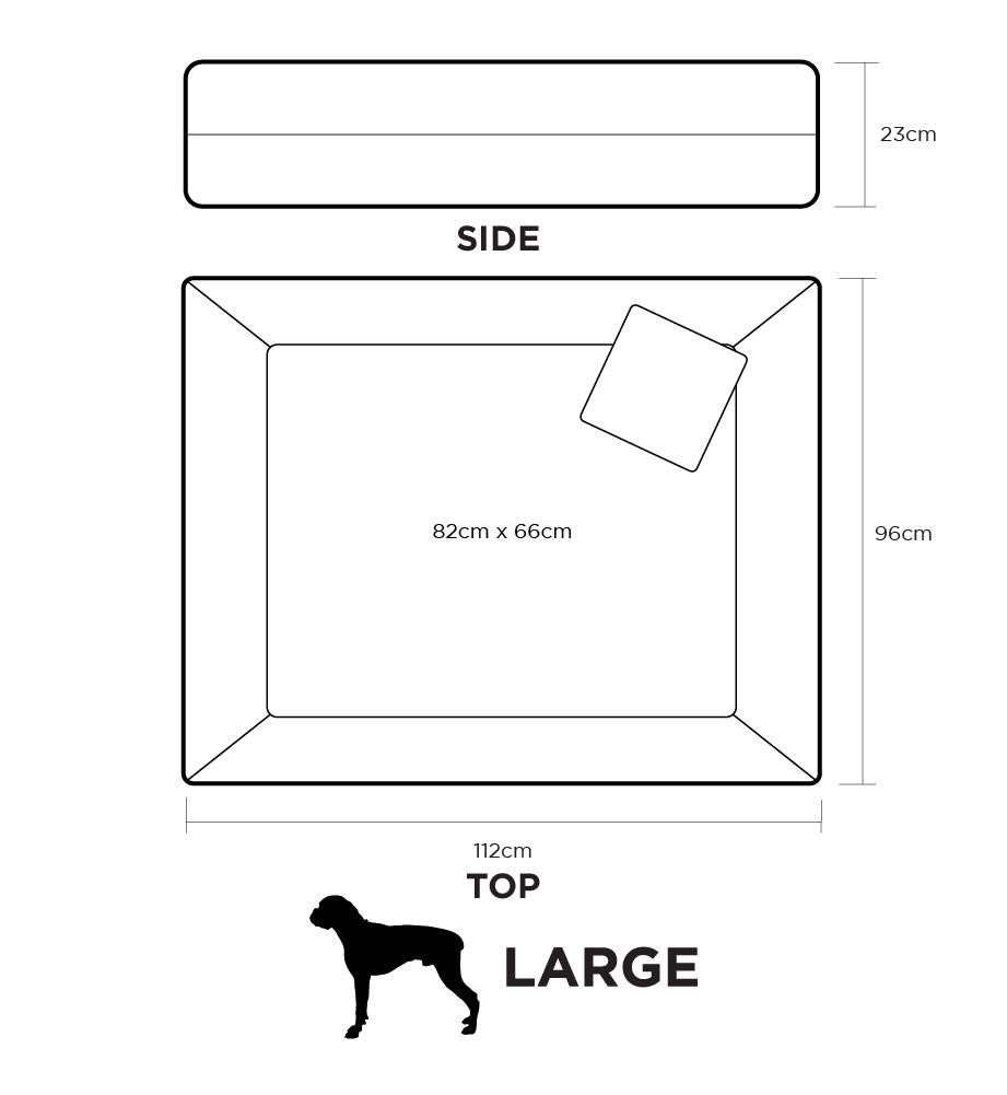 The Snorebox